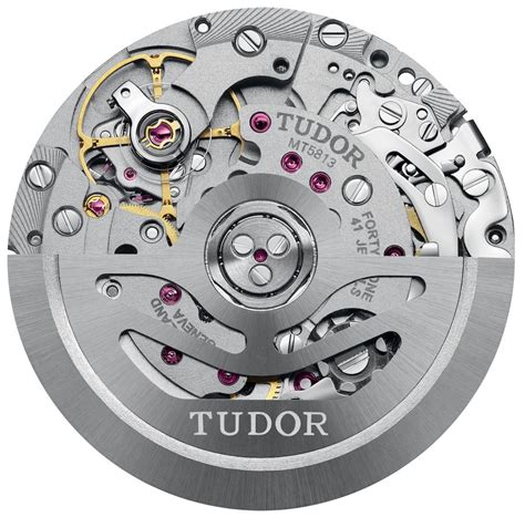 ritorno tudor|tudor mc 5813.